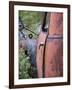 Rusty Old Car-null-Framed Photographic Print