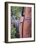 Rusty Old Car-null-Framed Photographic Print