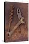 Rusty Old Double-headed Spanner Lying Next To Large Drill Bit And Rusty Pliers On Rusty Metal Sheet-Den Reader-Stretched Canvas