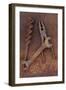 Rusty Old Double-headed Spanner Lying Next To Large Drill Bit And Rusty Pliers On Rusty Metal Sheet-Den Reader-Framed Photographic Print