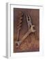 Rusty Old Double-headed Spanner Lying Next To Large Drill Bit And Rusty Pliers On Rusty Metal Sheet-Den Reader-Framed Photographic Print