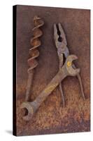 Rusty Old Double-headed Spanner Lying Next To Large Drill Bit And Rusty Pliers On Rusty Metal Sheet-Den Reader-Stretched Canvas