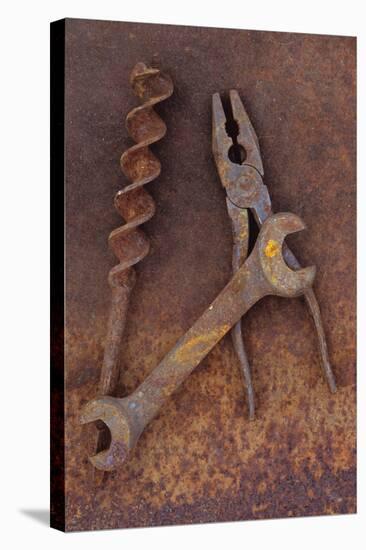 Rusty Old Double-headed Spanner Lying Next To Large Drill Bit And Rusty Pliers On Rusty Metal Sheet-Den Reader-Stretched Canvas