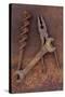 Rusty Old Double-headed Spanner Lying Next To Large Drill Bit And Rusty Pliers On Rusty Metal Sheet-Den Reader-Stretched Canvas