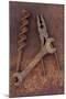 Rusty Old Double-headed Spanner Lying Next To Large Drill Bit And Rusty Pliers On Rusty Metal Sheet-Den Reader-Mounted Photographic Print