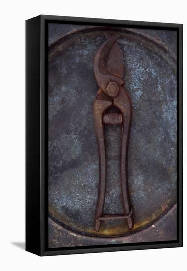 Rusty Old Secateurs-Den Reader-Framed Stretched Canvas