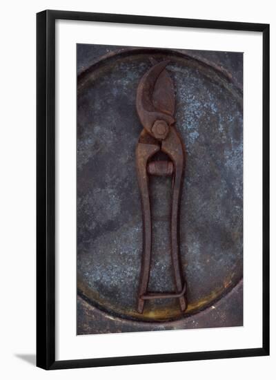 Rusty Old Secateurs-Den Reader-Framed Photographic Print