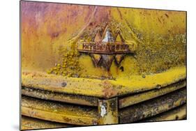 Rusty Old Truck Details Near Salmo, British Columbia, Canada-Chuck Haney-Mounted Photographic Print