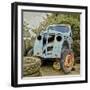 Rusty Old Truck-Salvatore Elia-Framed Photographic Print