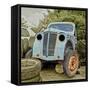 Rusty Old Truck-Salvatore Elia-Framed Stretched Canvas