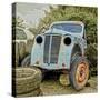 Rusty Old Truck-Salvatore Elia-Stretched Canvas