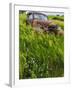 Rusty Old Vehicles in the Ghost Town of Okaton, South Dakota, Usa-Chuck Haney-Framed Photographic Print