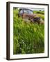 Rusty Old Vehicles in the Ghost Town of Okaton, South Dakota, Usa-Chuck Haney-Framed Photographic Print