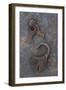 Rusty Padlock Lying On Rusty Metal Sheet with Pair of Rusted Keys On Ring-Den Reader-Framed Photographic Print