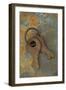 Rusty Security-Den Reader-Framed Photographic Print