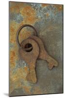 Rusty Security-Den Reader-Mounted Photographic Print