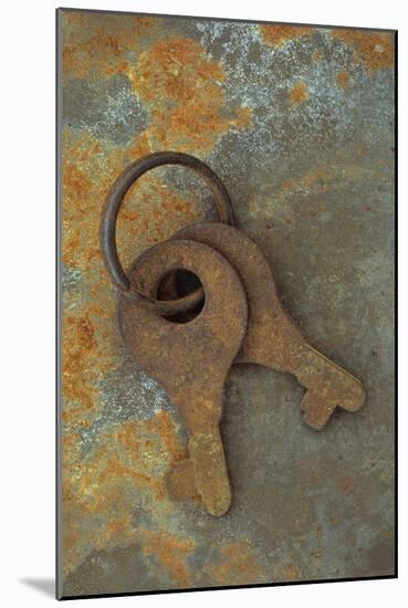 Rusty Security-Den Reader-Mounted Photographic Print