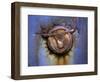 Rusty Trucks at Old Car City, Georgia, USA-Joanne Wells-Framed Photographic Print