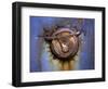 Rusty Trucks at Old Car City, Georgia, USA-Joanne Wells-Framed Photographic Print