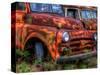 Rusty Trucks at Old Car City, Georgia, USA-Joanne Wells-Stretched Canvas