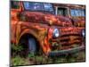 Rusty Trucks at Old Car City, Georgia, USA-Joanne Wells-Mounted Photographic Print