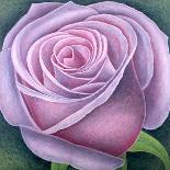 Big Rose-Ruth Addinall-Giclee Print