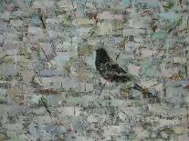 Blackbird in Tree-Ruth Addinall-Giclee Print