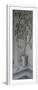 White Frame