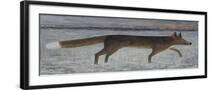 Black Frame