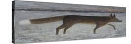 Stretched Canvas