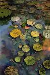 Lily Pad Pond-Ruth Day-Giclee Print