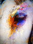 Painted Horse-Ruth Day-Giclee Print