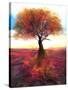 Stretched Canvas