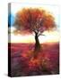 Stretched Canvas
