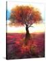 Stretched Canvas