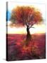 Stretched Canvas