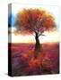 Stretched Canvas