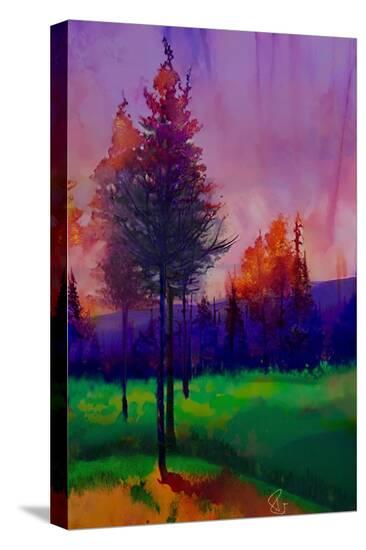 Stretched Canvas Print, , large
