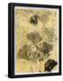 Essential Black