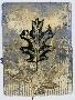 Just the Print