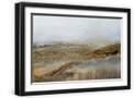 Black Frame