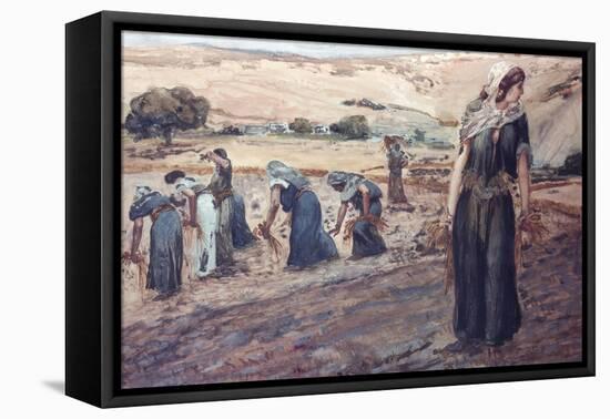 Ruth Gleaning-James Tissot-Framed Stretched Canvas