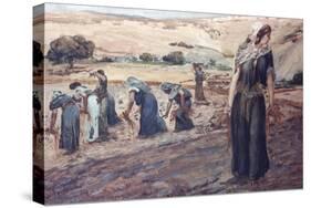 Ruth Gleaning-James Tissot-Stretched Canvas