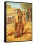 Ruth in the Corn-Field-English-Framed Stretched Canvas