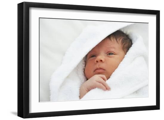 Premium Photographic Print, , large