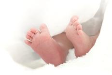 Baby's Feet-Ruth Jenkinson-Framed Photographic Print