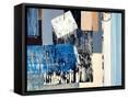 Framed Canvas