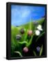 Essential Black