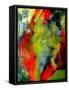 Framed Canvas