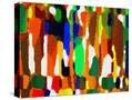 Stretched Canvas